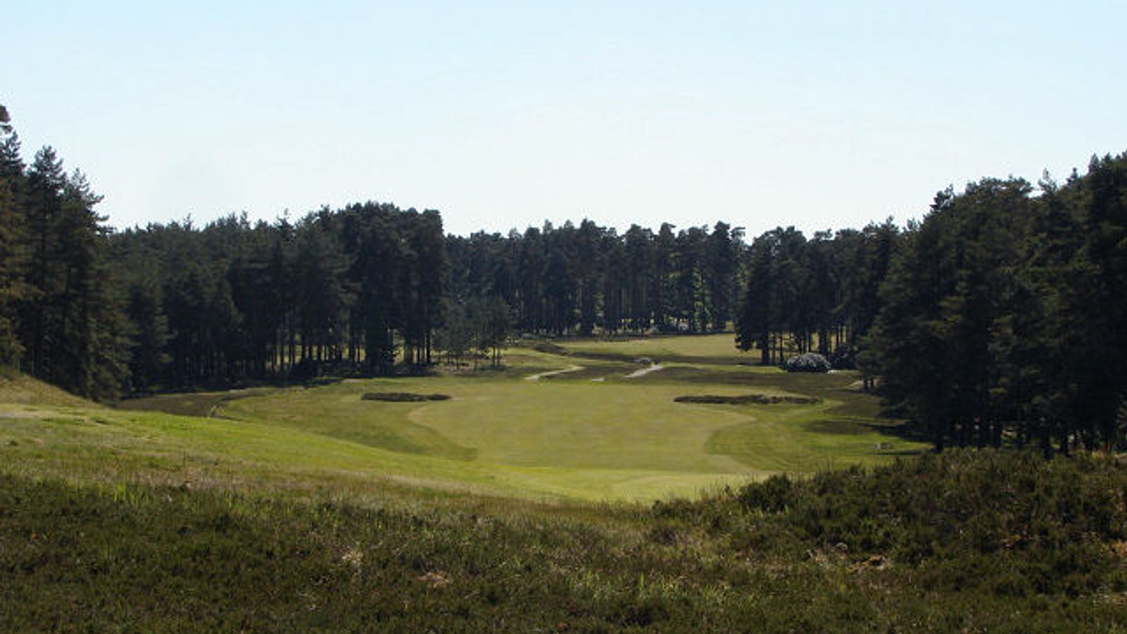 Swinley Forest Golf Club