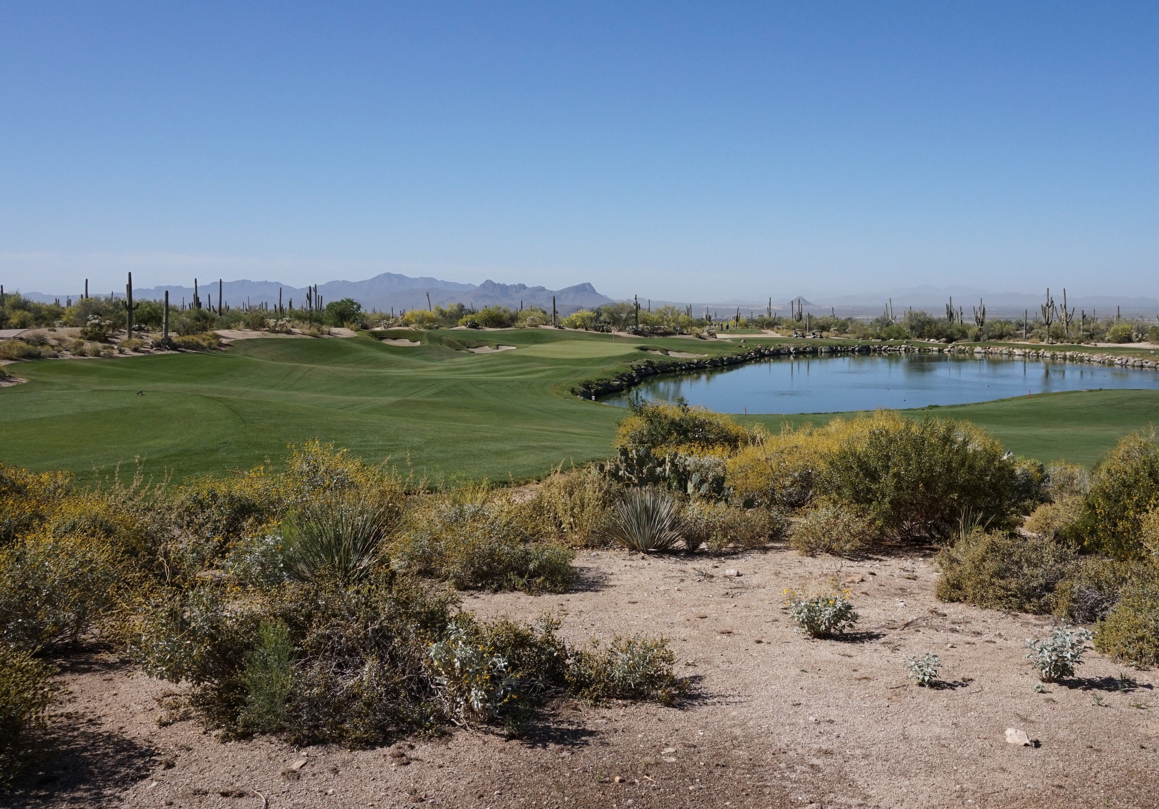 The Golf Club at Dove Mountain
