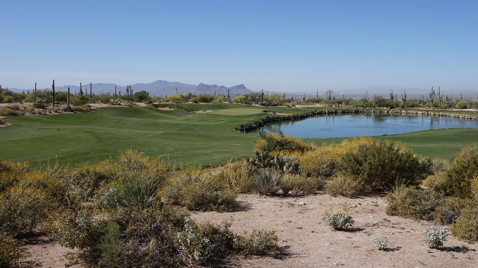 The Golf Club at Dove Mountain