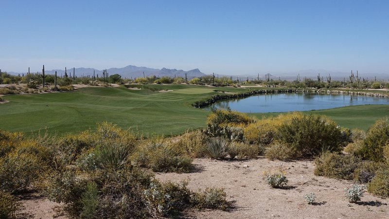 The Golf Club at Dove Mountain