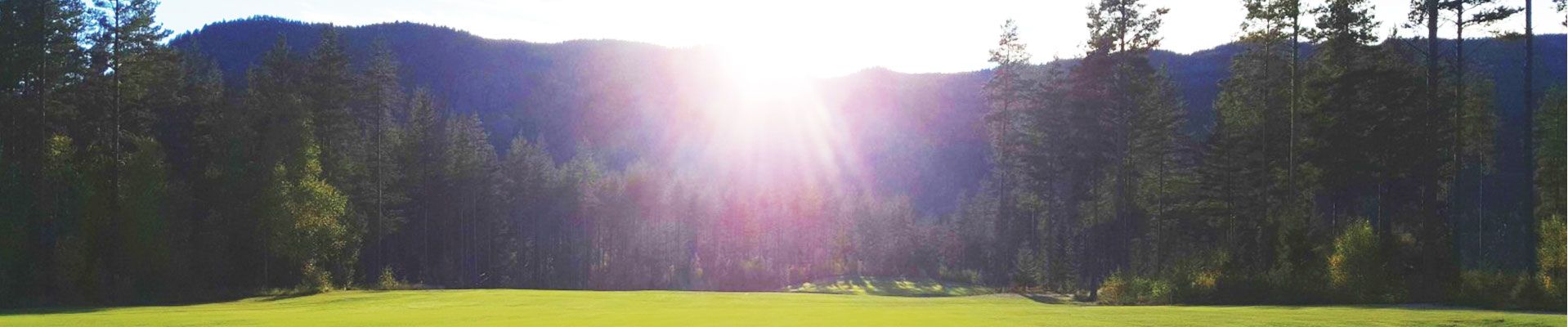 Ringerike GK