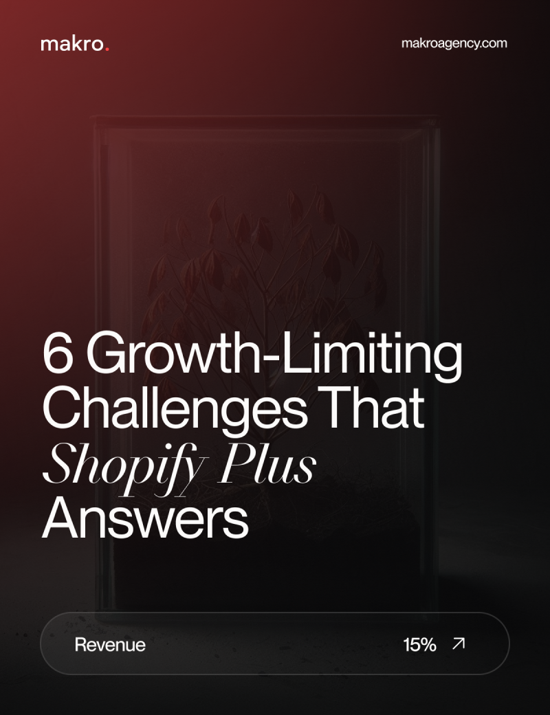 6 Growth-Limiting Challenges That Shopify Plus Answers