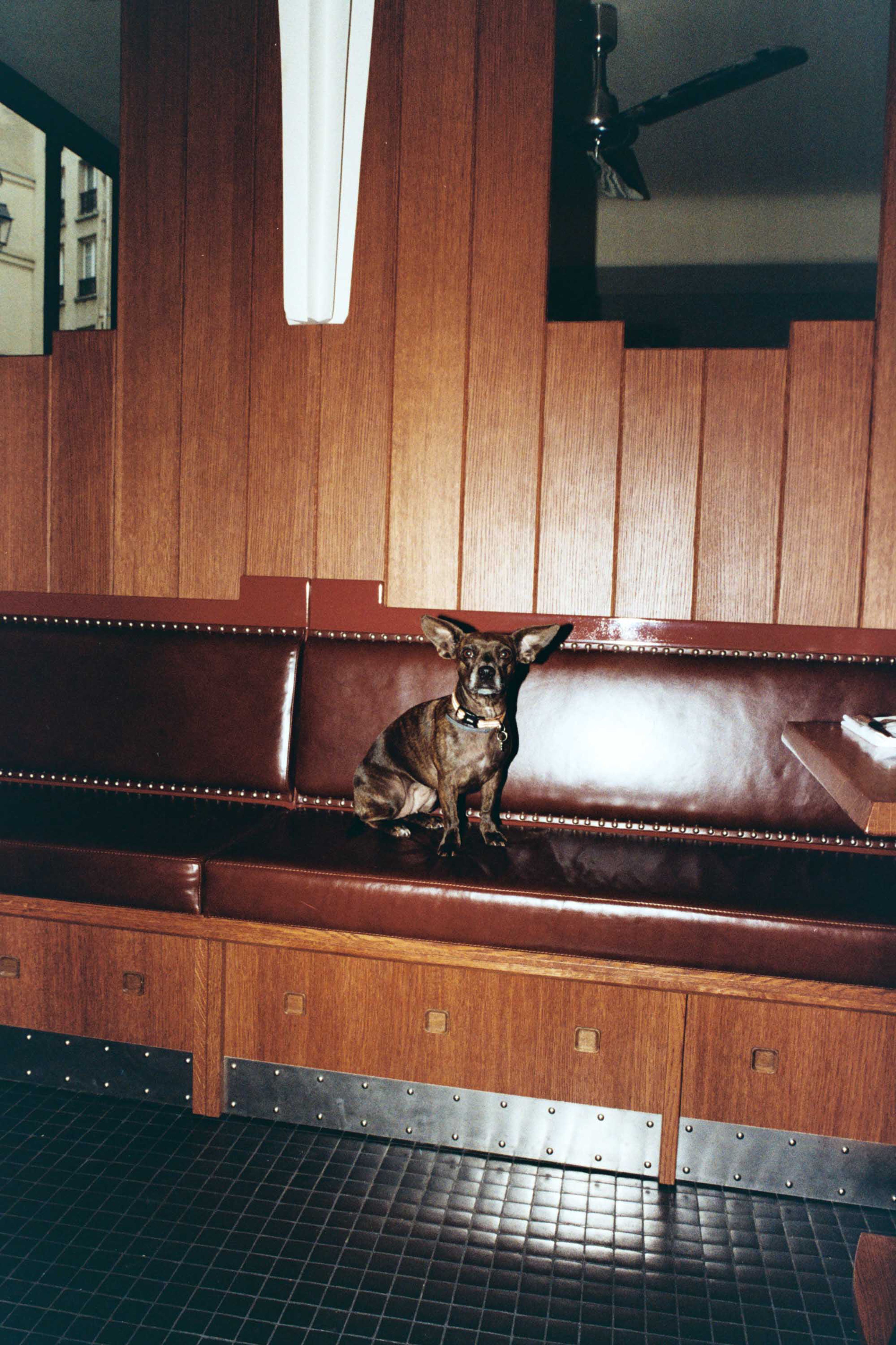 Betyle Studio – Architecture & Interior Design