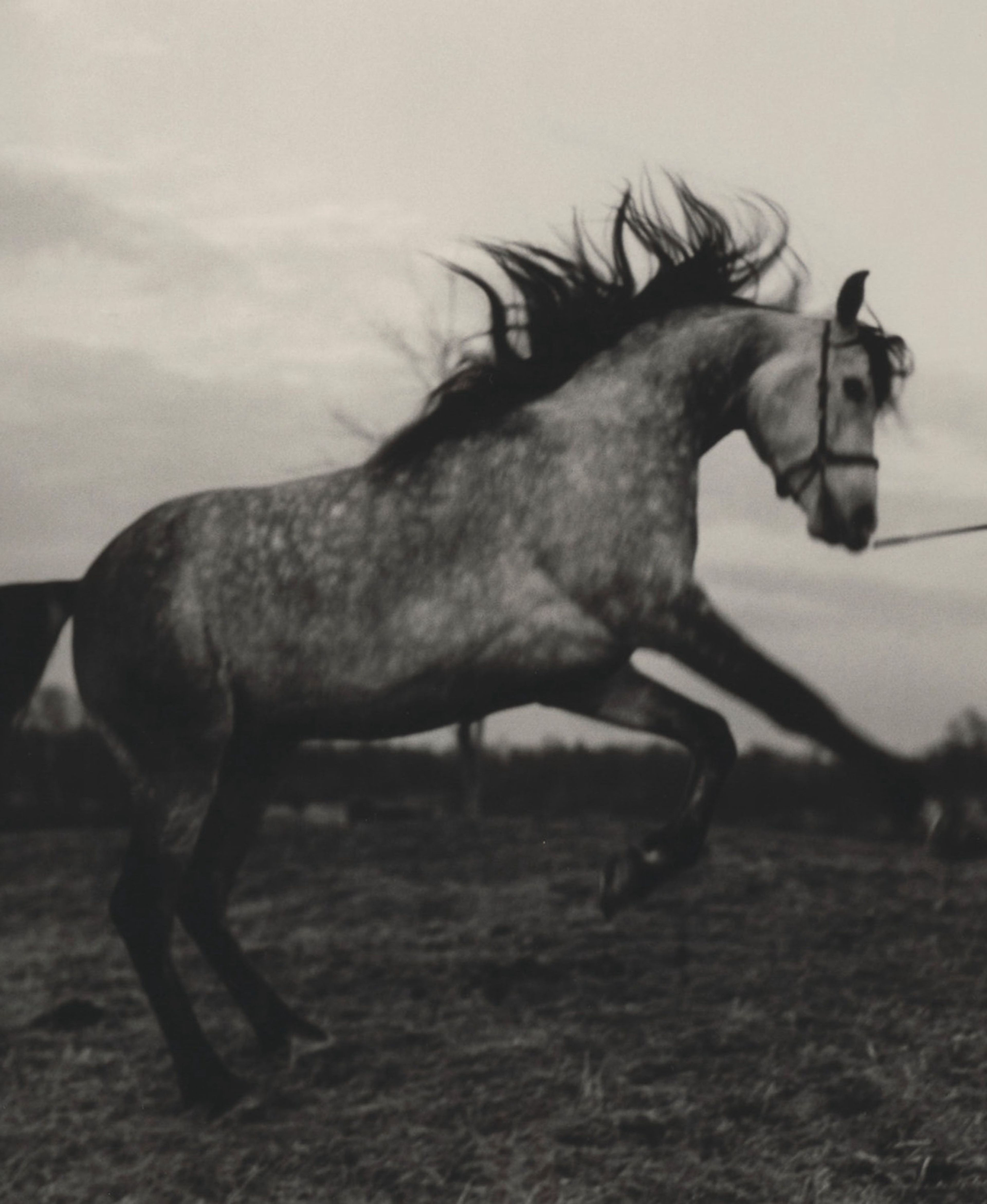 Betyle Studio – Architecture & Interior Design