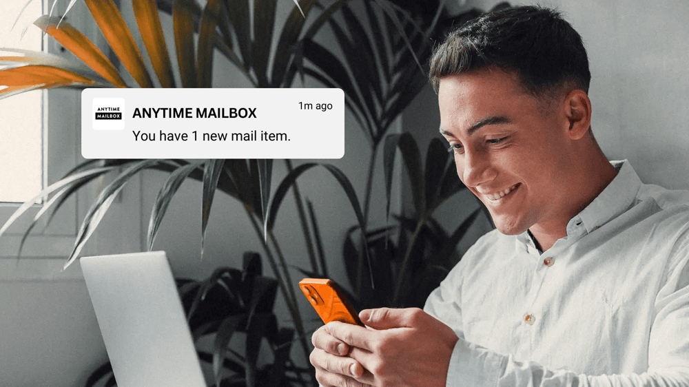 Anytime Mailbox notification on phone