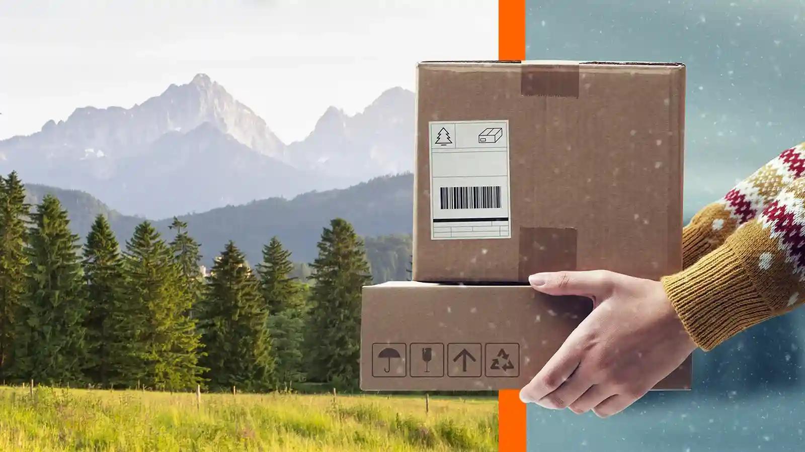 Seamless Mail Management Across State Lines for Snowbirds