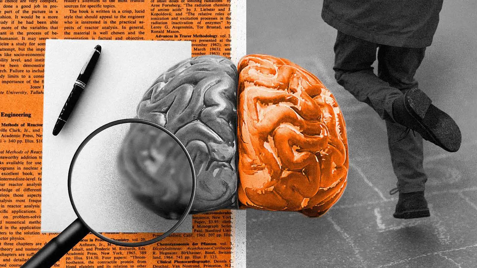 The Science Behind Introverts and Extroverts: How Biology Plays a Role