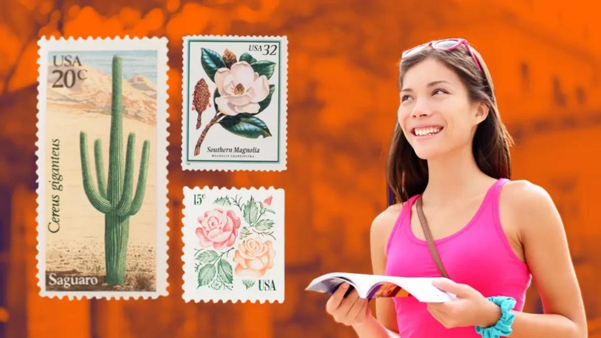Anytime Mailbox - image-a97d6d20e3f744644038d3c9a10bba1ea9a41509-1024x576-webp