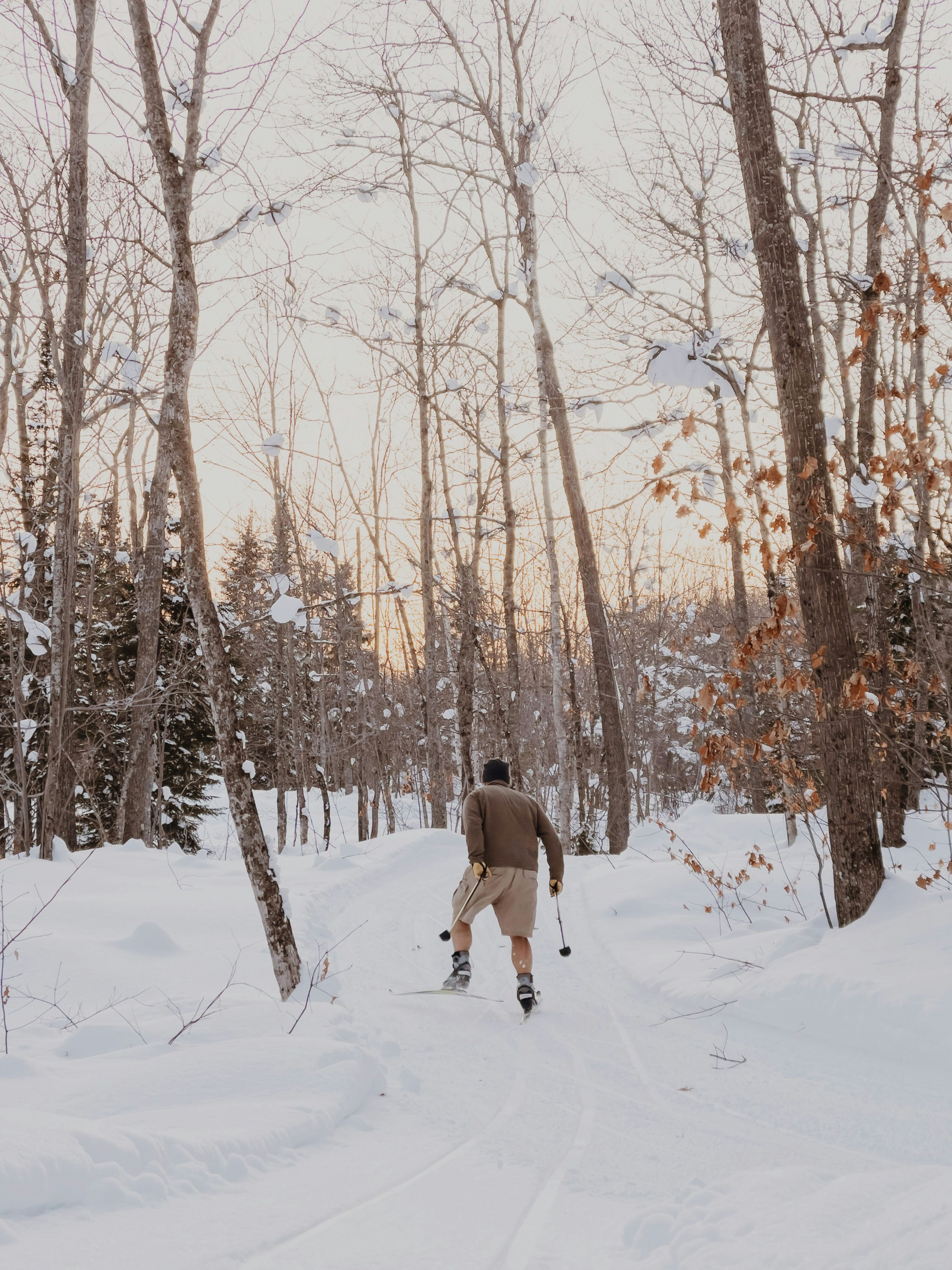 A walker on a snowy path between bare trees