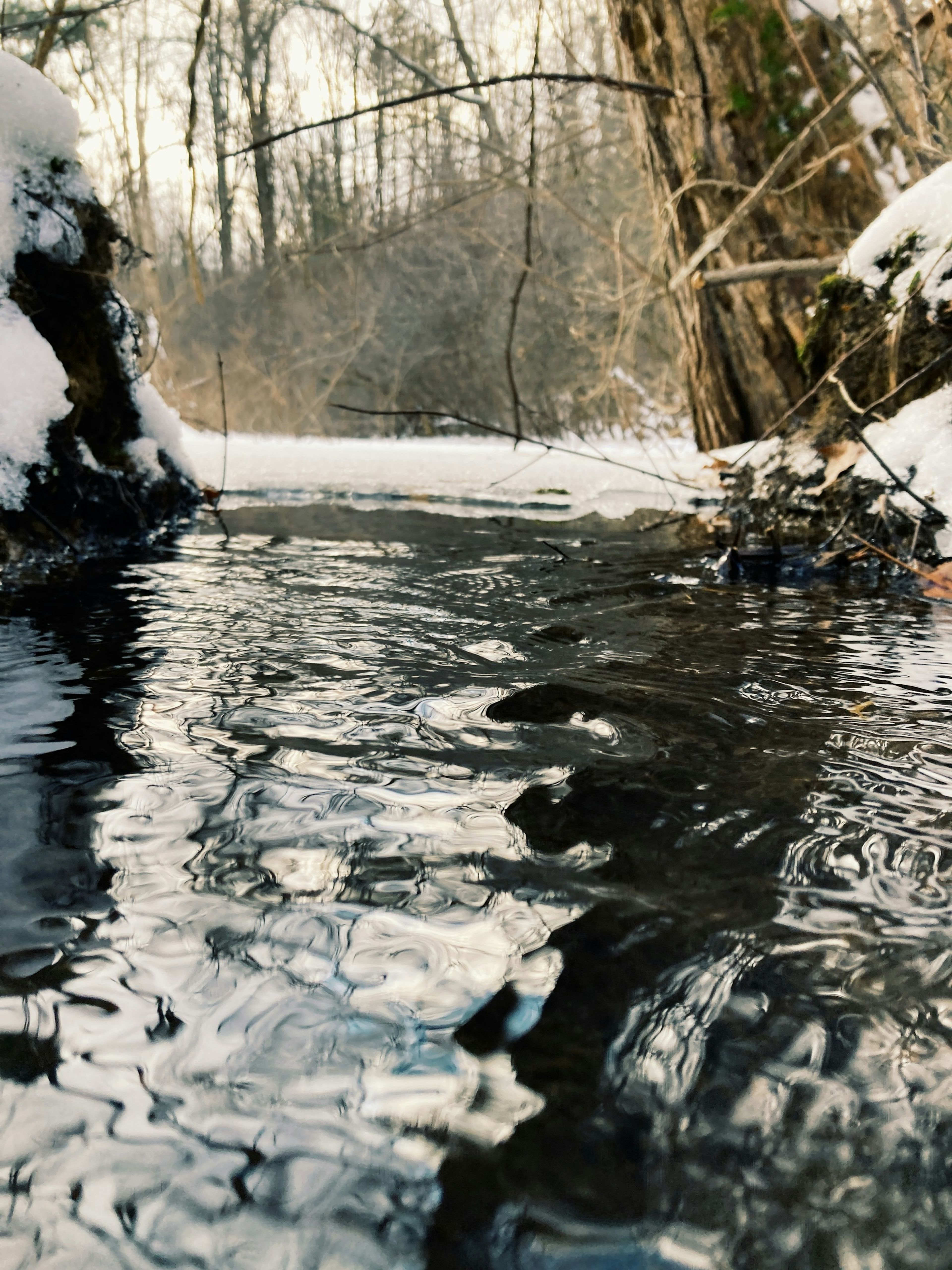 A dark stream running through snowy woods