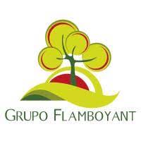 Grupo Flamboyant