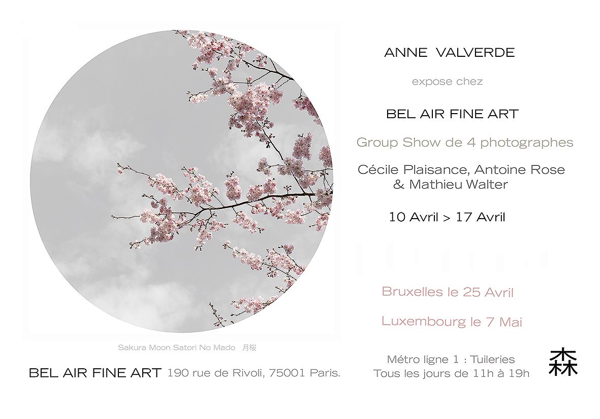 Sakura Moon Satori No Mado 月桜 — Group Show Bel Air Fine Art