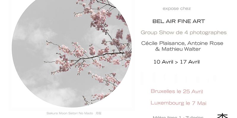 Sakura Moon Satori No Mado 月桜 — Group Show Bel Air Fine Art