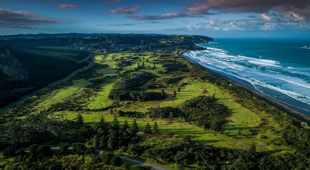 A different kind of birdie: how Muriwai Golf Links is going predator-free