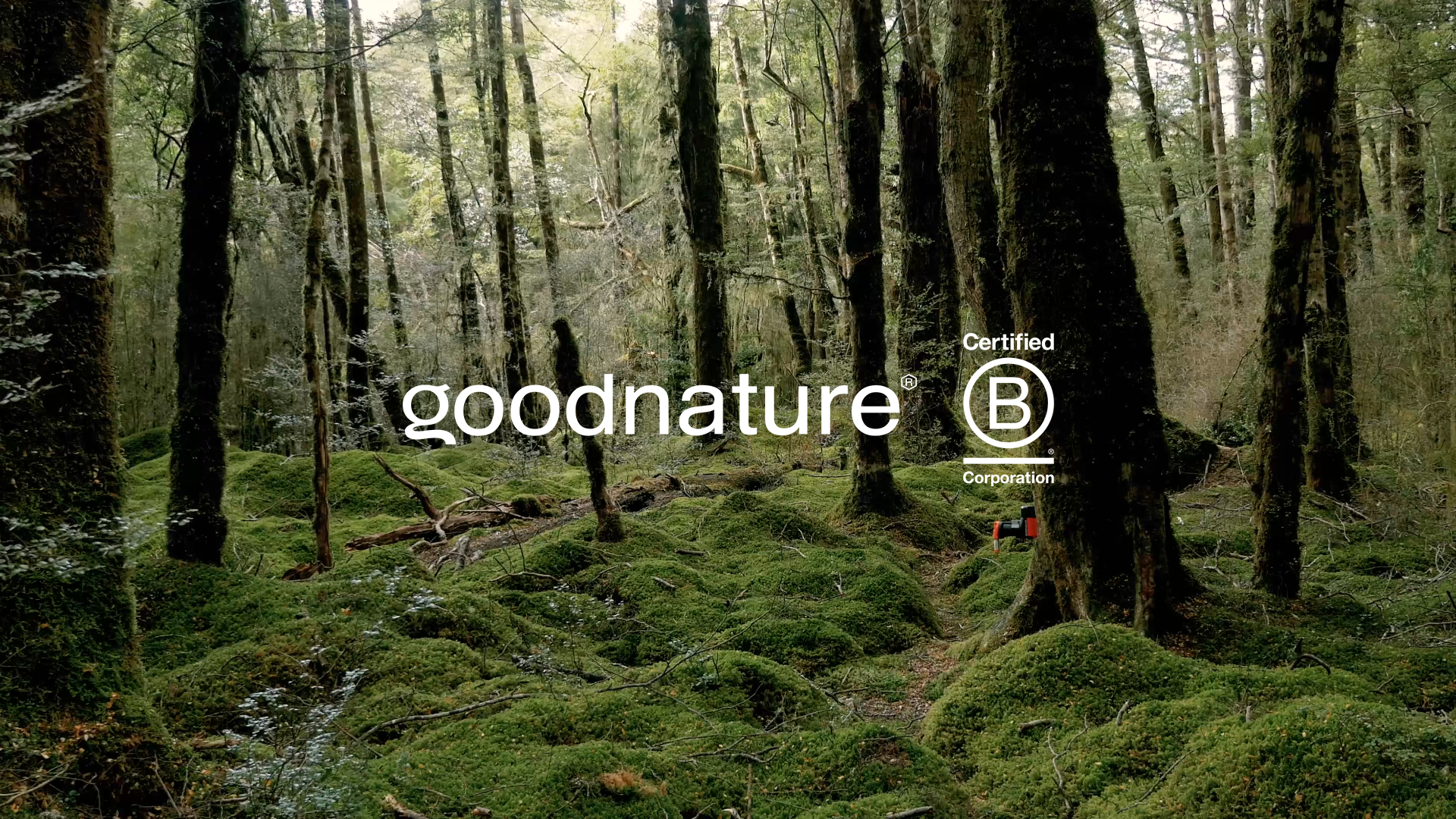 Goodnature becomes B Corp™ certified