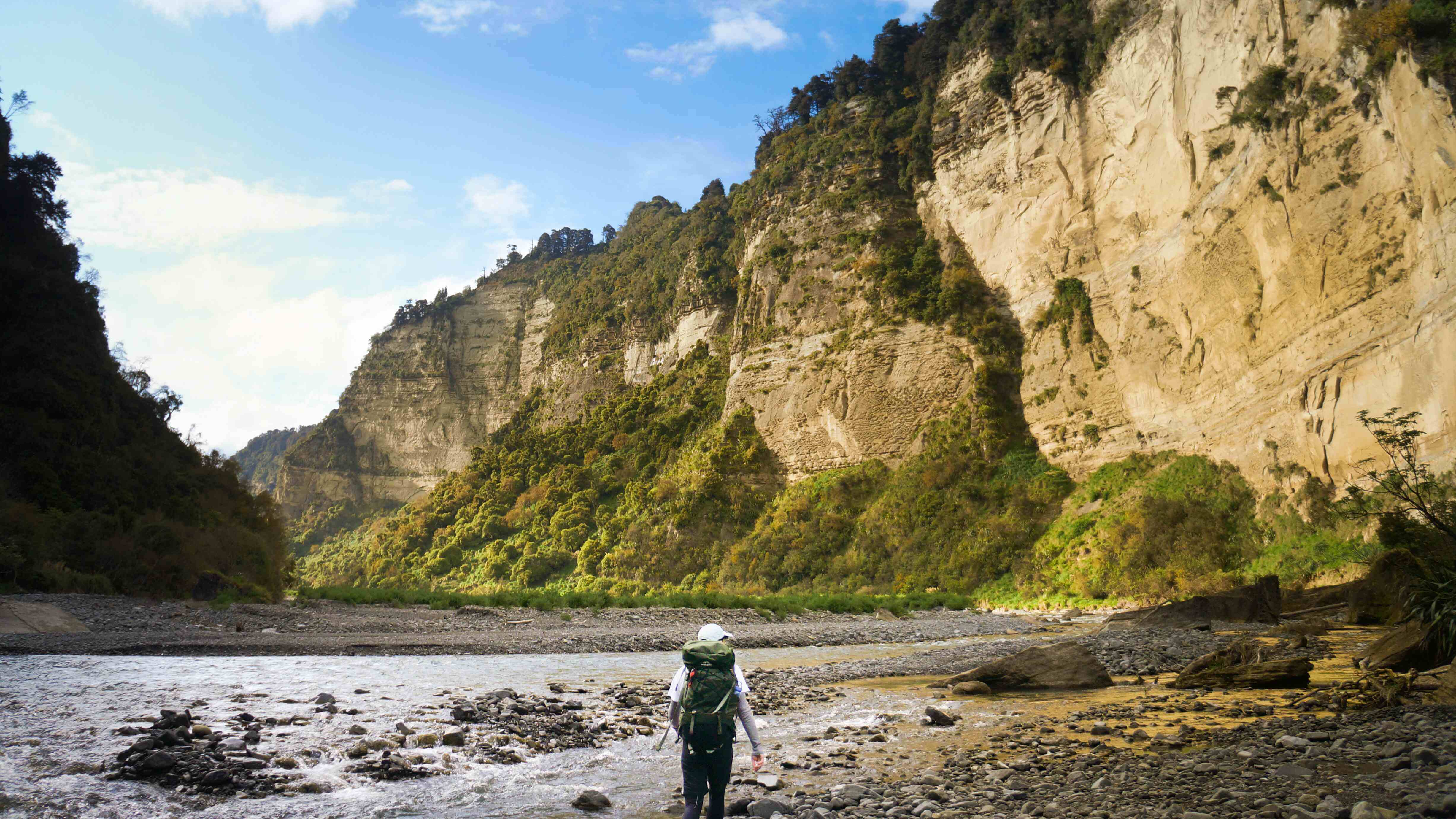 Into the Wild: Ben and Joe’s Rewilding Day in Whakaurekou River