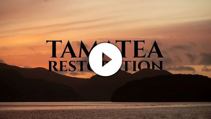 Project Tamatea - An update from the team at Pure Salt