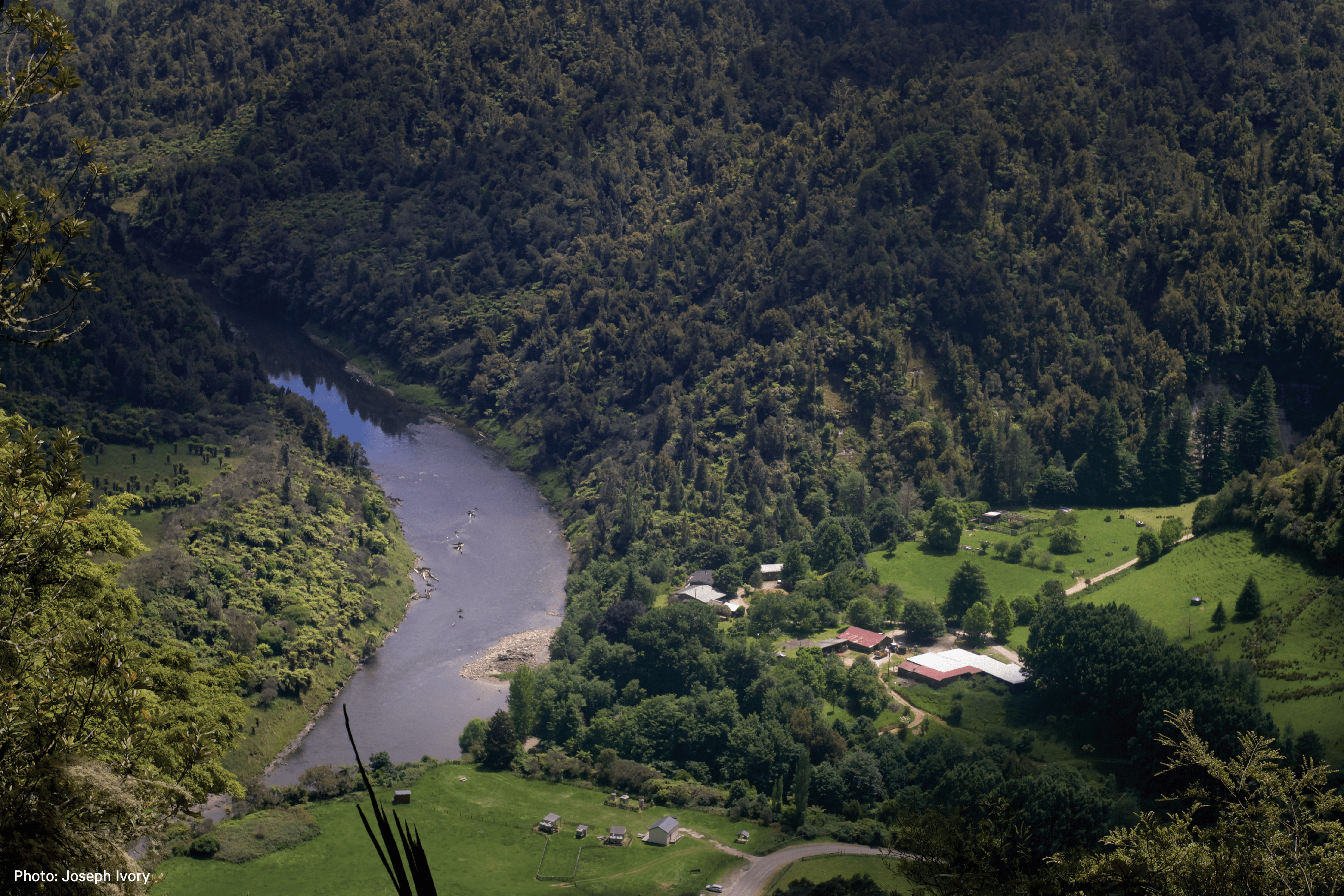Mud, maggots, and mates: The Goodnature team at Blue Duck Station