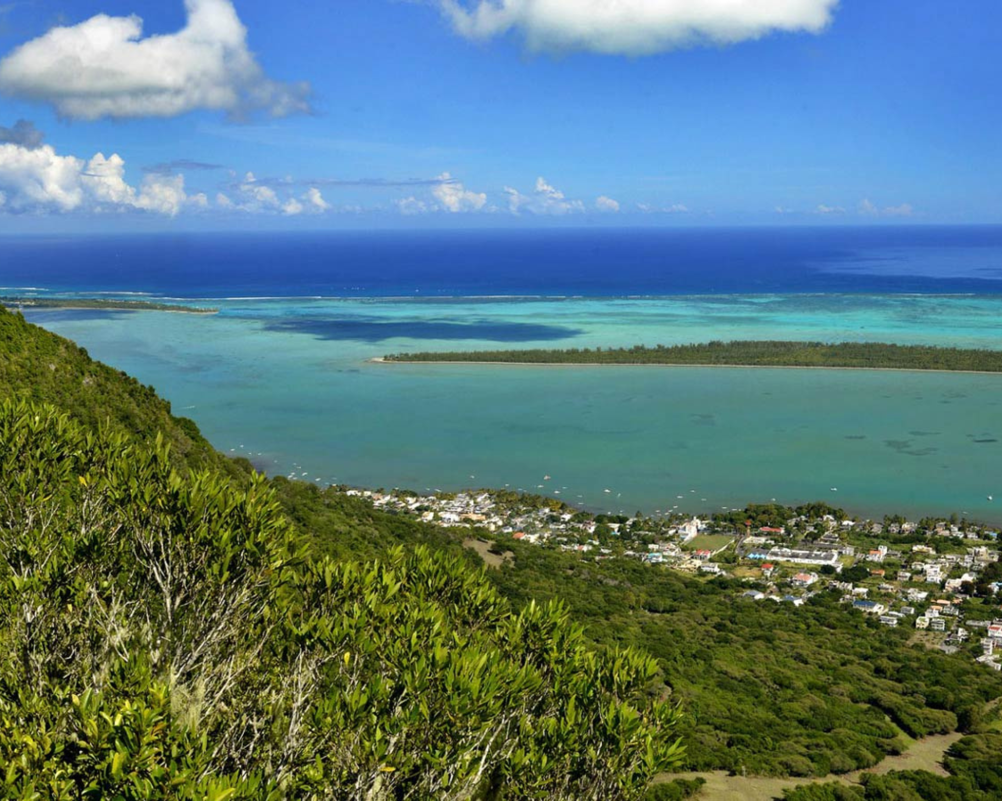 Protecting Mauritius’ rarest species: The power of trapping at Ebony Forest