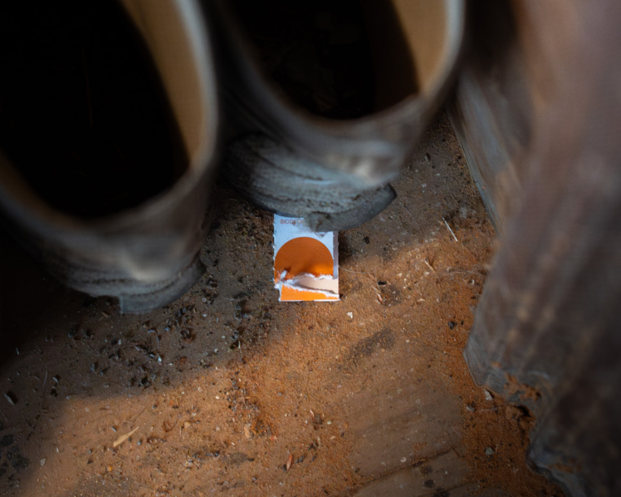 Know Your Predators - Nibble Edition