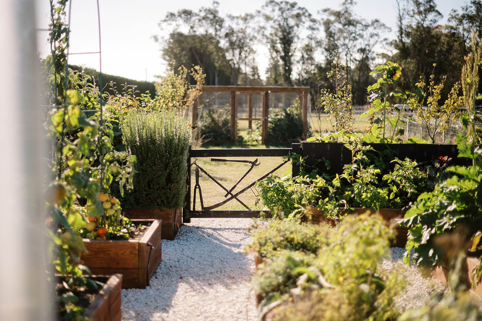 A Mid Canterbury edible garden designed for hospitality & self-sufficiency