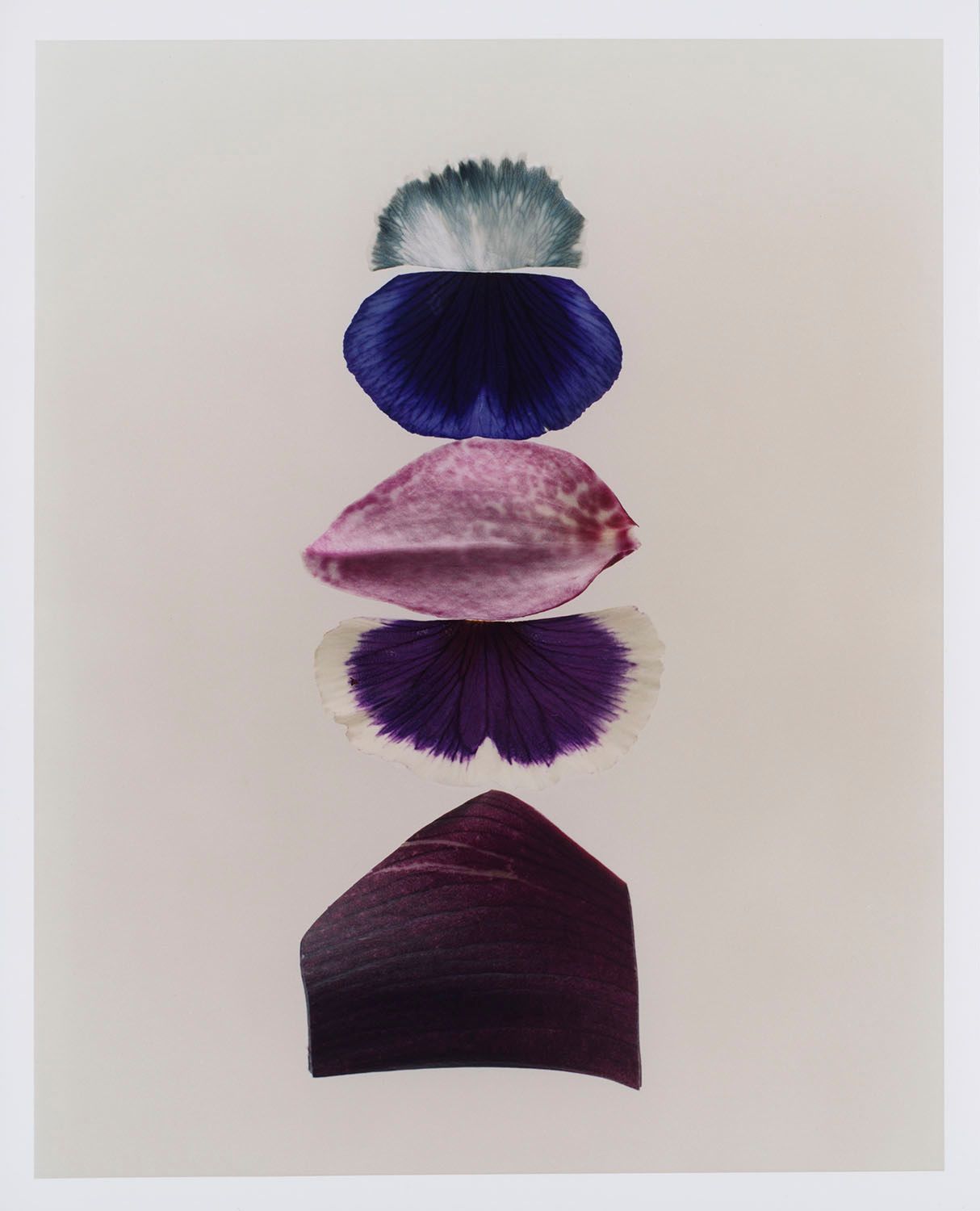 Lara Giliberto — Bound Magazine