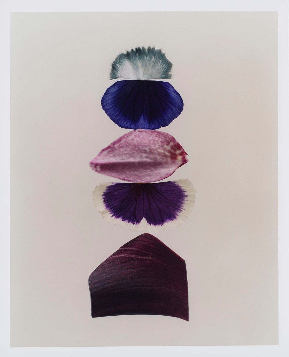 Lara Giliberto — Bound Magazine