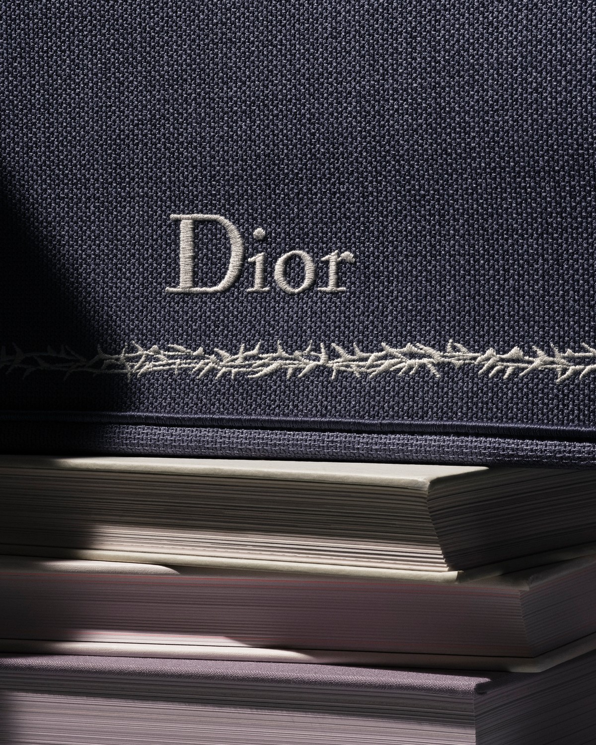 Fraser Chatham — Dior