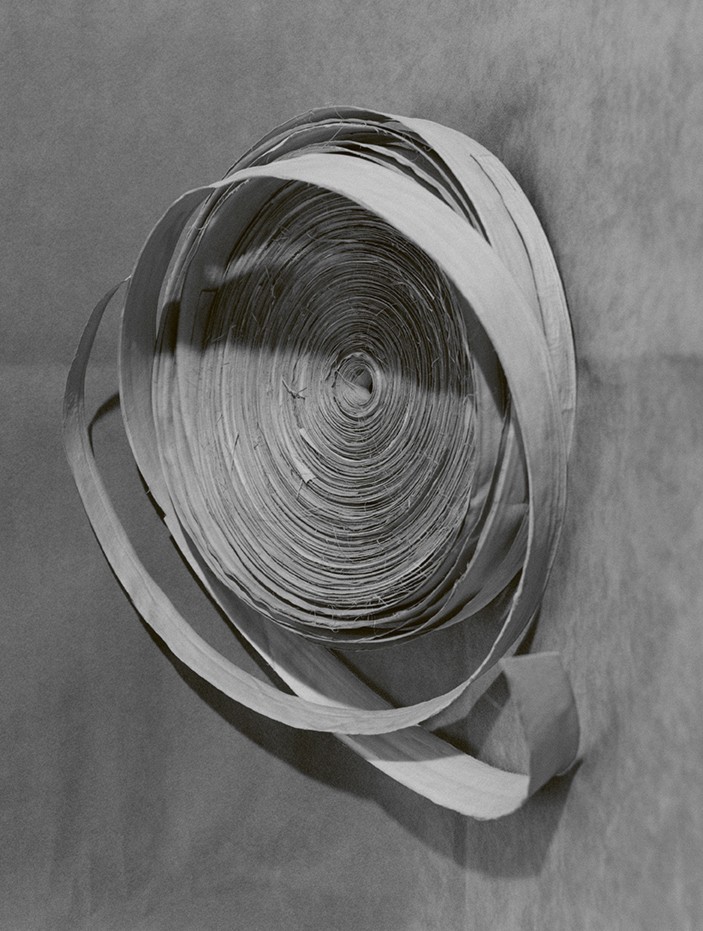 Lara Giliberto — Lampoon