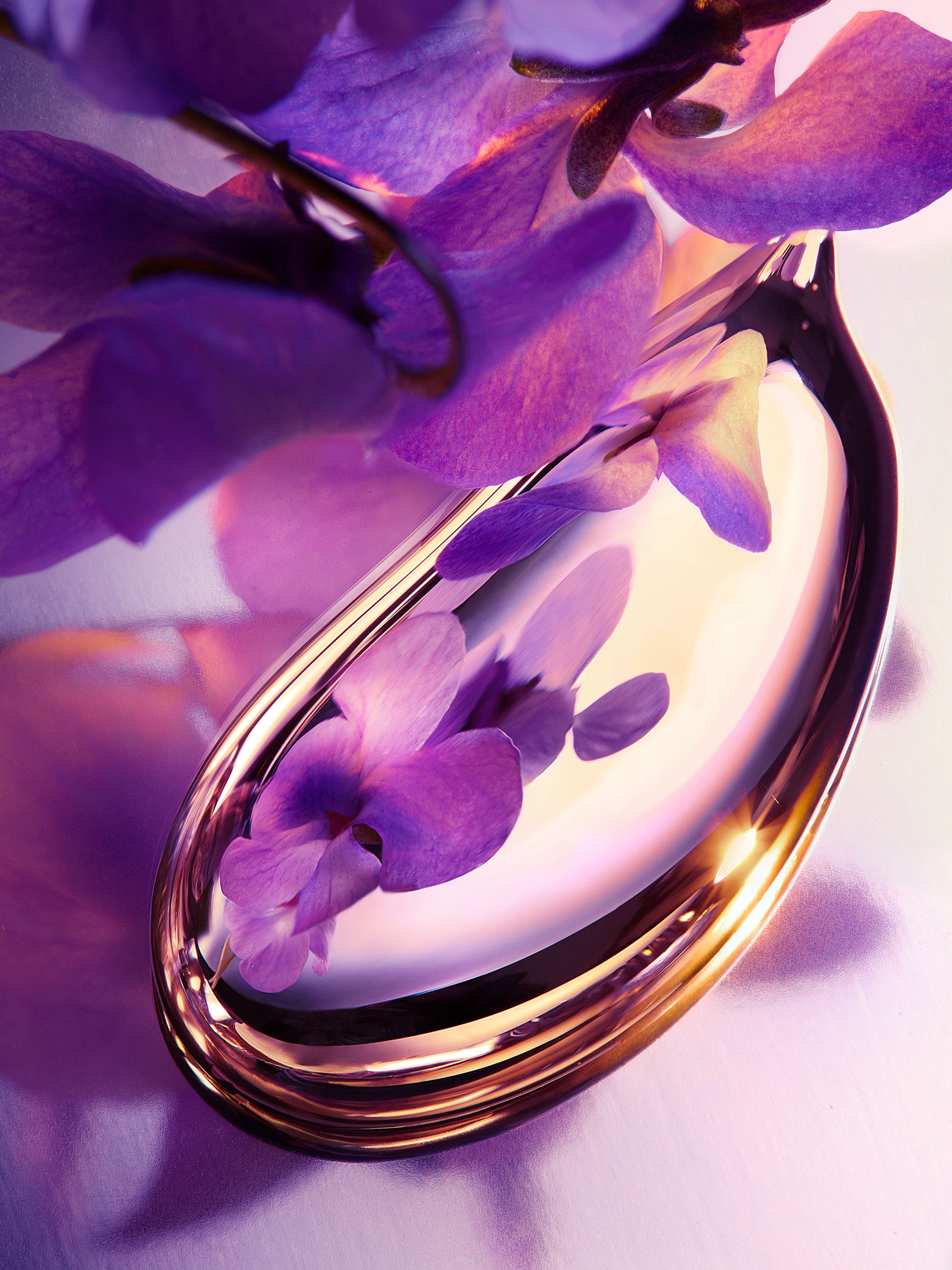 Charlotte Evrard — Precious Purple