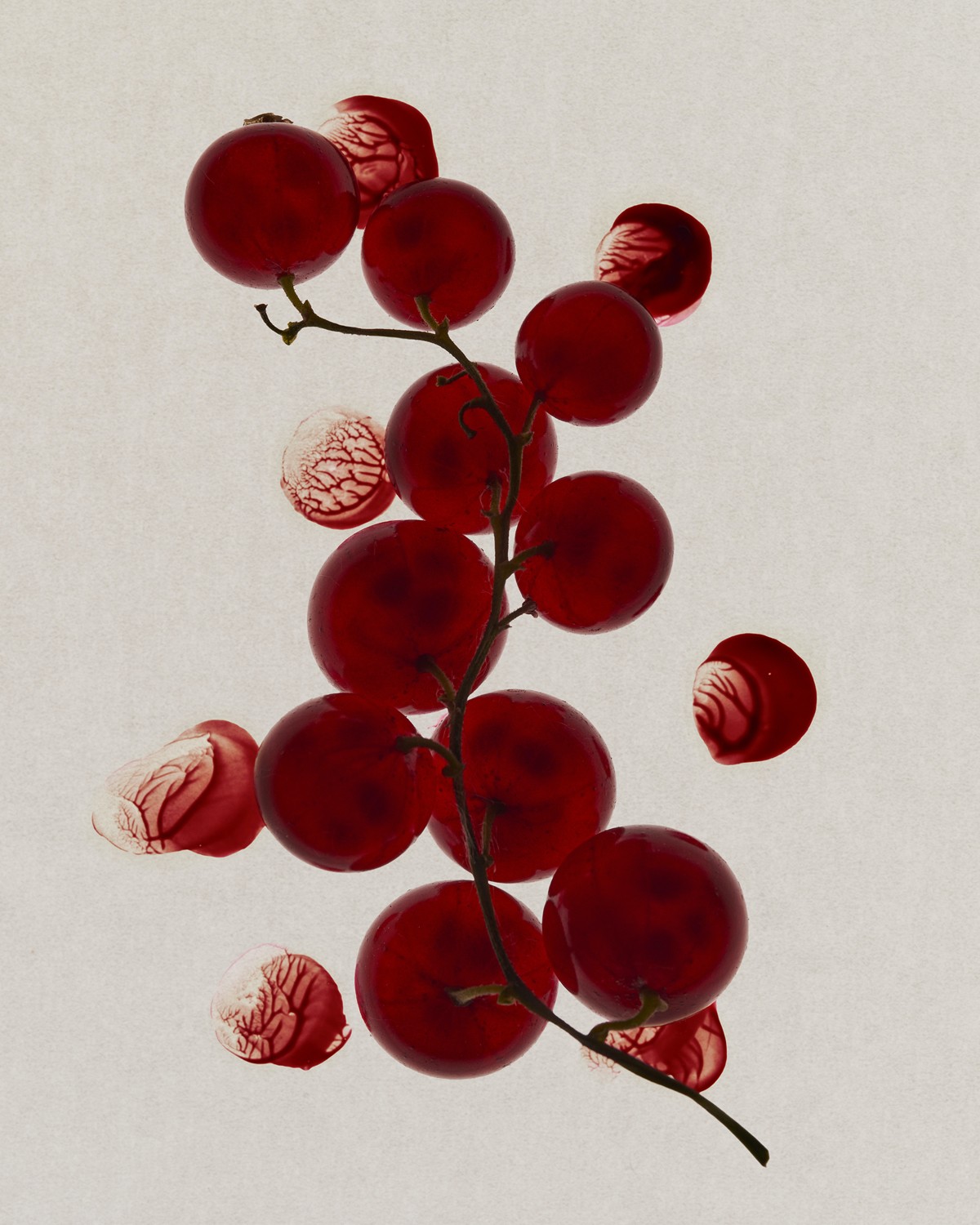 Haruna Ogata — Texture