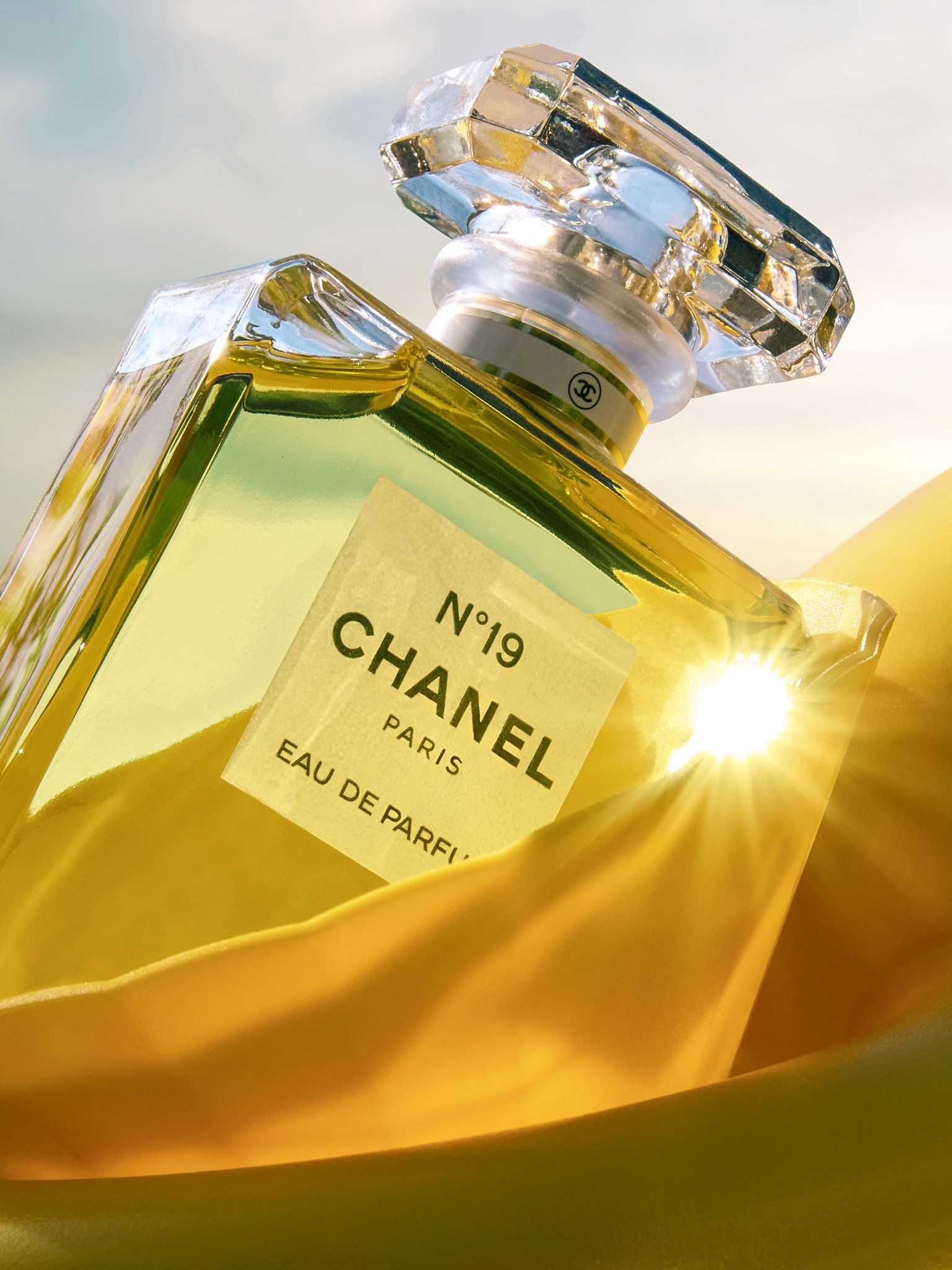 Romain Prochain — Chanel N°19