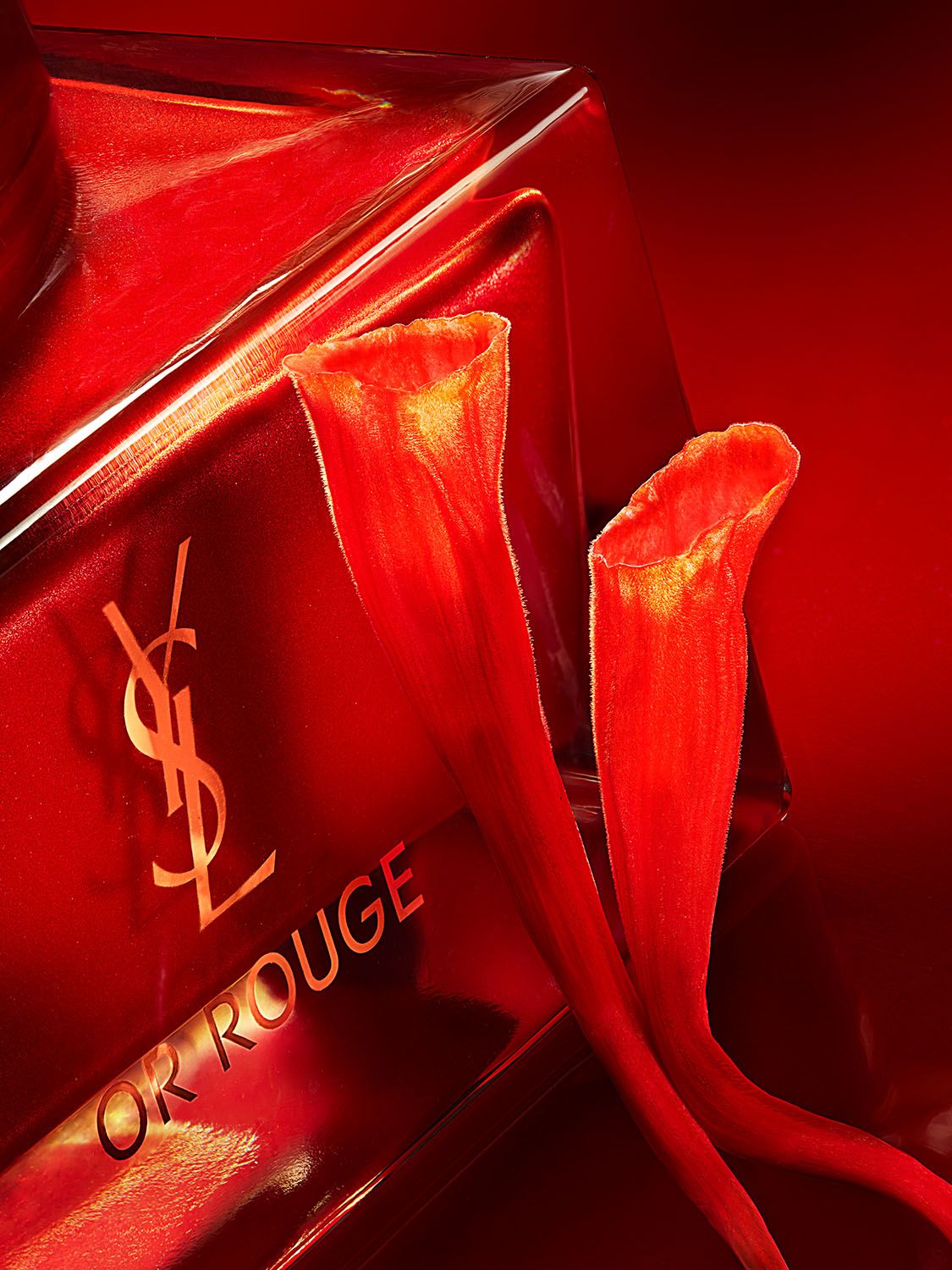 Charlotte Evrard — YSL Rouge