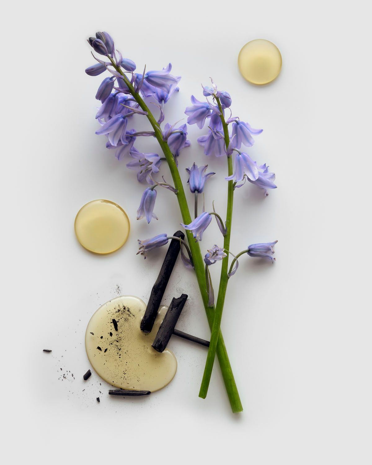 Fraser Chatham — Flowers