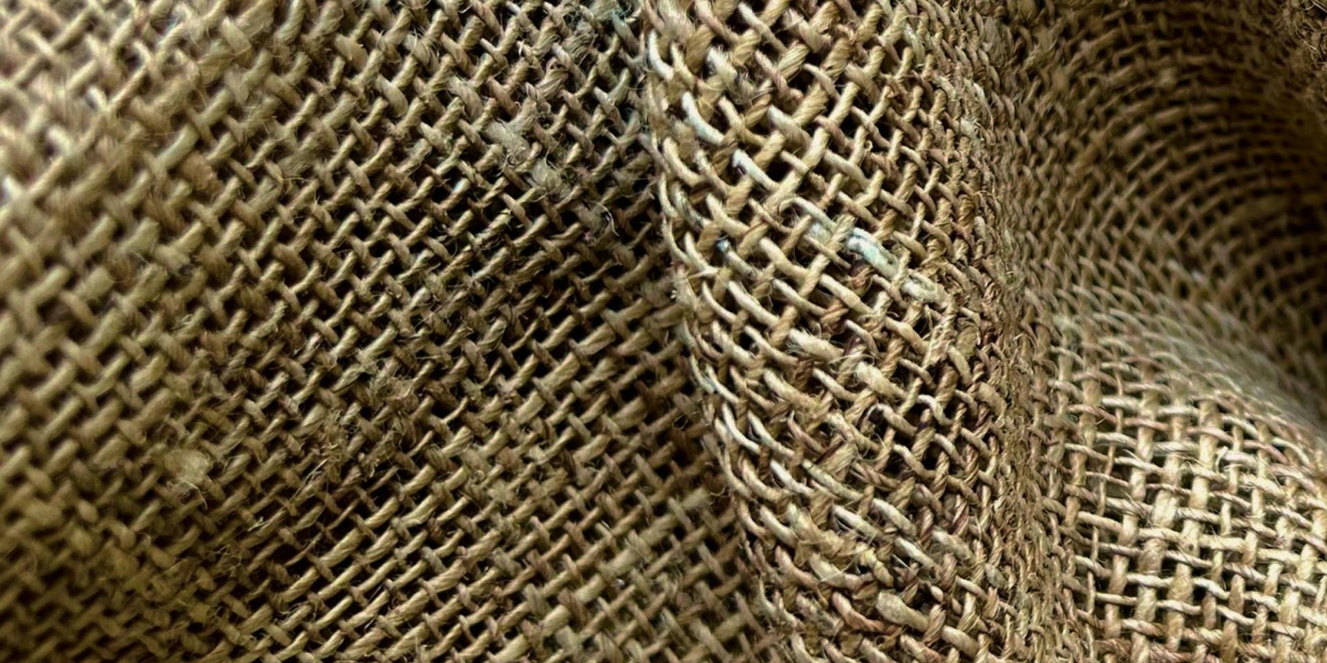 Cânhamo