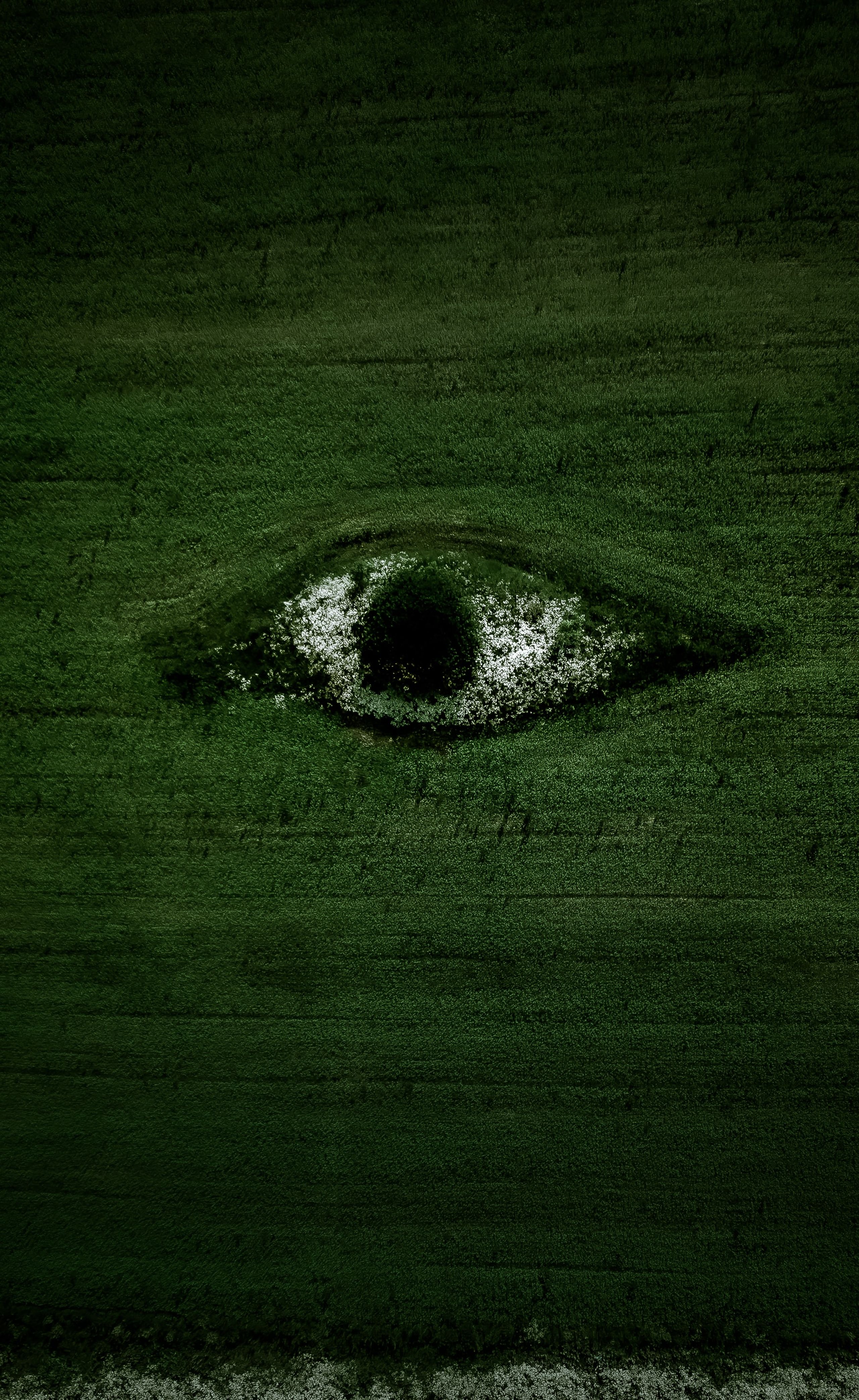 An eye shape in a green field 