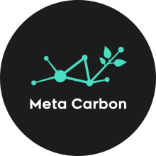 Meta-Carbon