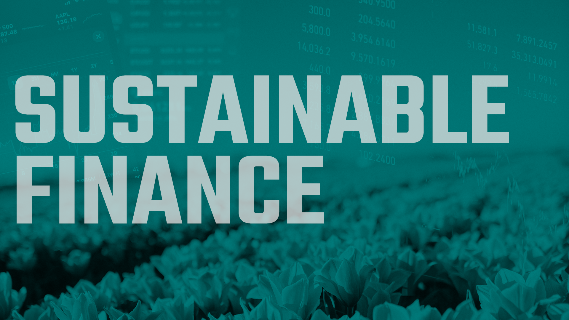 sustainable and impact finance