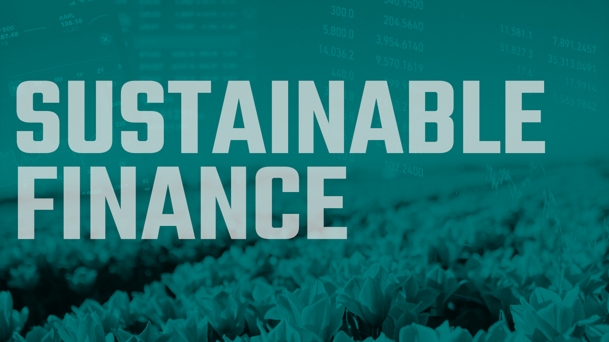 Understanding the Impact of Sustainable Finance on Climate Change. 