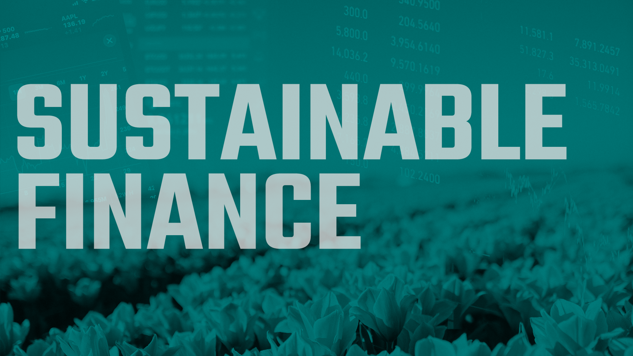 Understanding the Impact of Sustainable Finance on Climate Change.