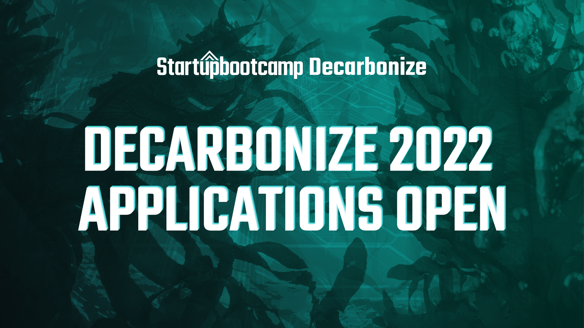 Startupbootcamp’s Decarbonize accelerator program applications are open