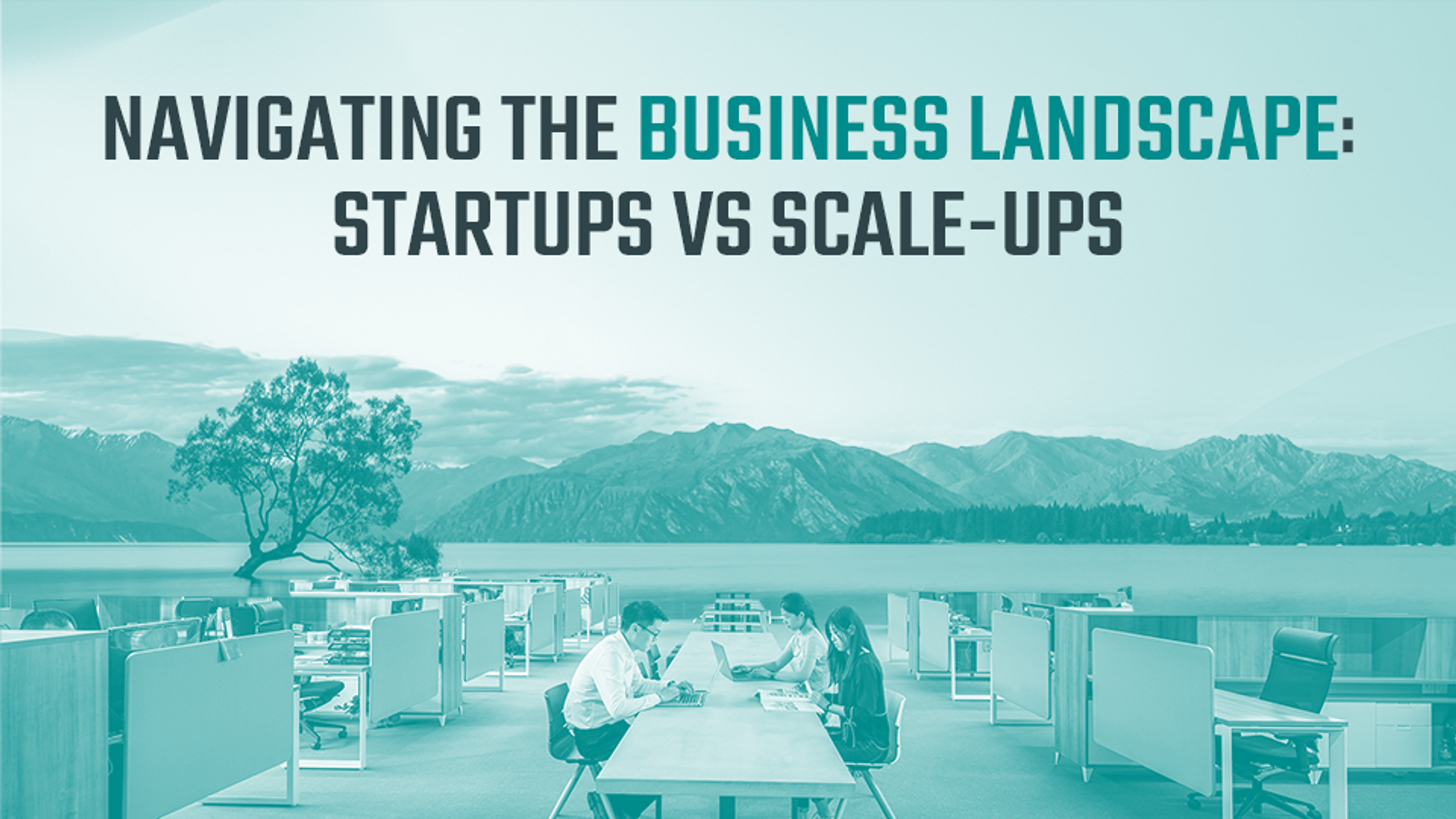 Navigating the Business Landscape: Startups vs Scale-Ups