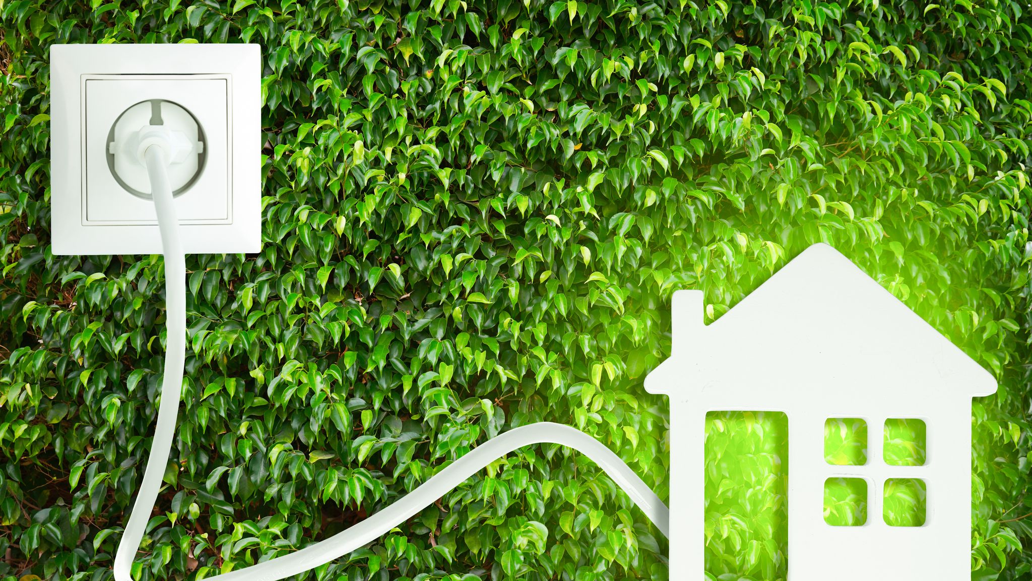Upgrading to All-Electrical: A Customer Perspective.