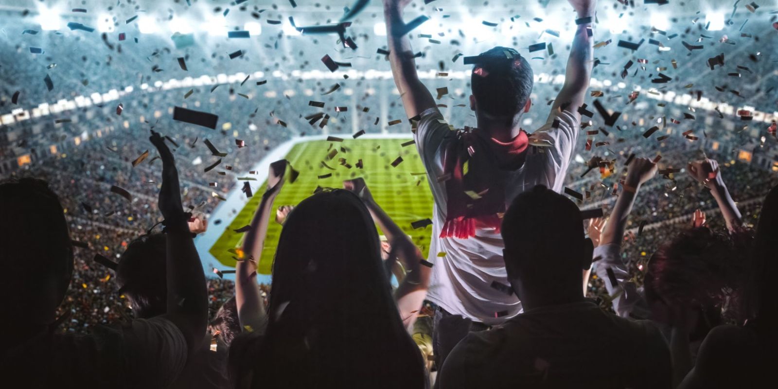 Fan Cheering at Stadium