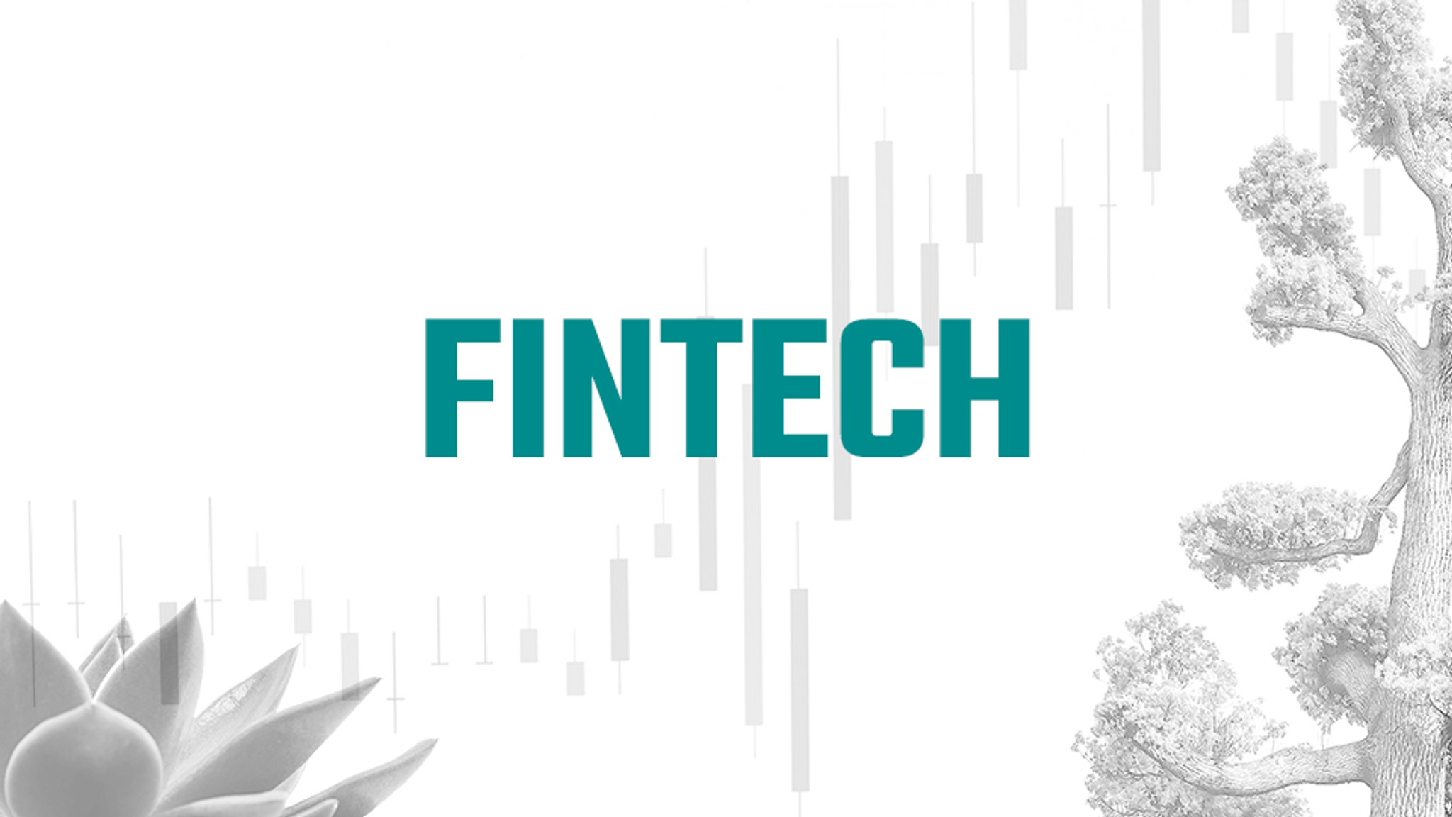 Our 3 Sustainable Fintech Fund Themes - What are they?