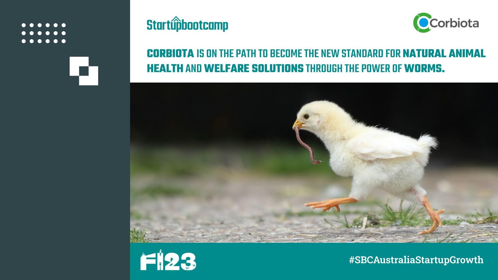 Corbiota, Harnessing Natural Solutions for Healthier Animal Farming
