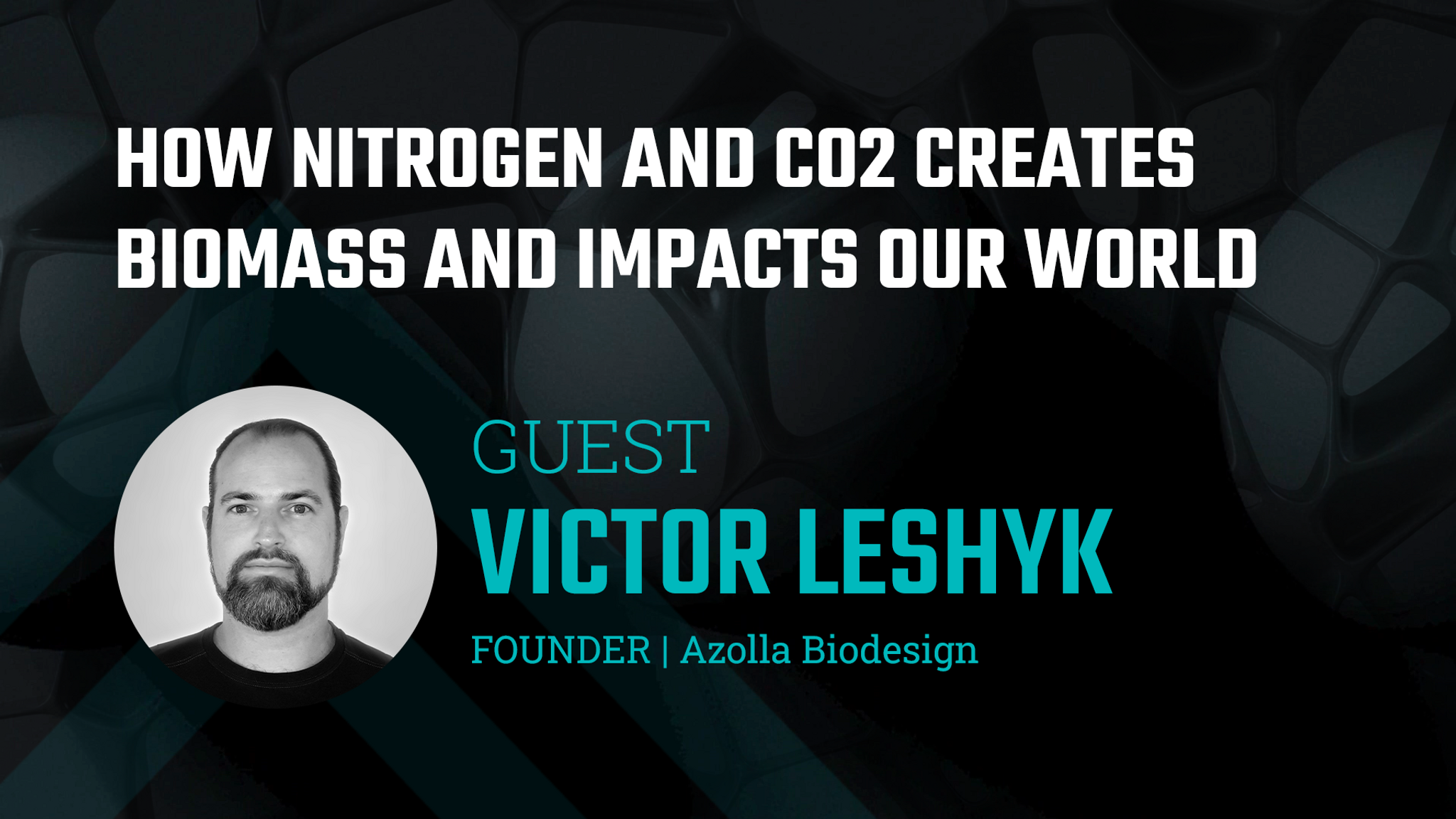 How Nitrogen and CO2 creates Biomass and impacts our world - Azolla Biodesign