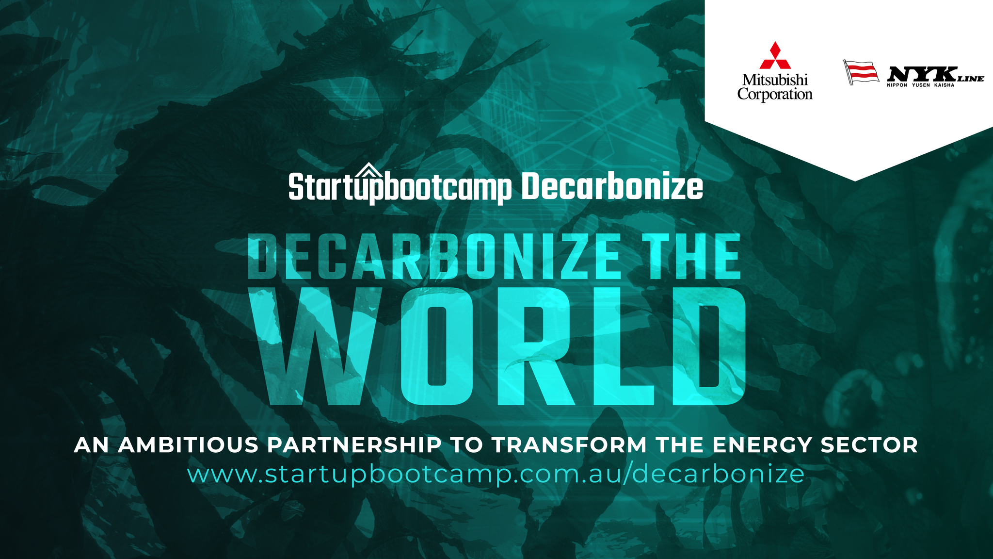 Startupbootcamp Decarbonize: An Ambitious Partnership to Transform the Energy Sector