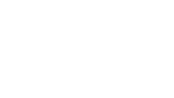Lucidica