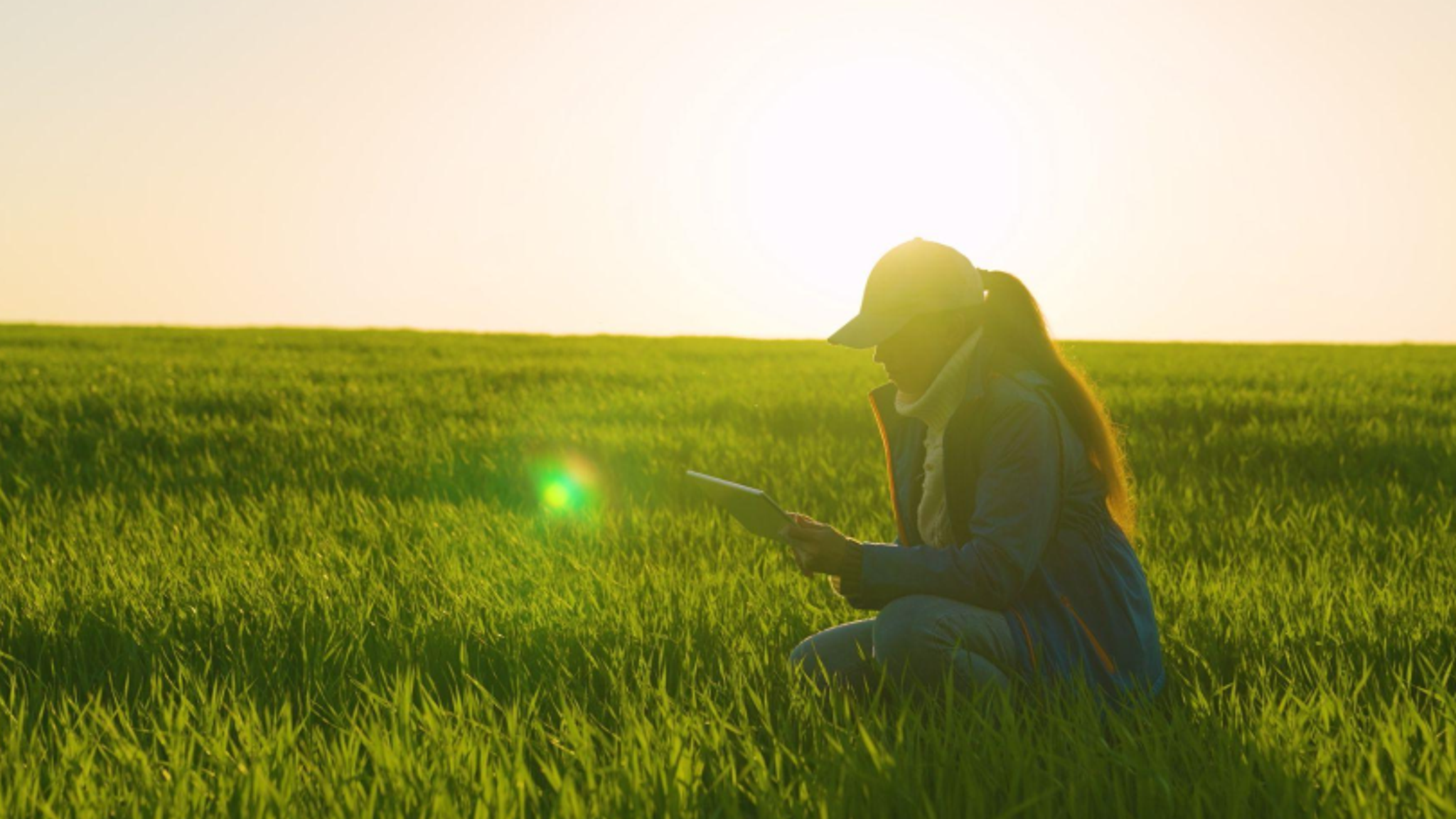 Australian-Grown Innovation: Cultivating the Future🌱💡
